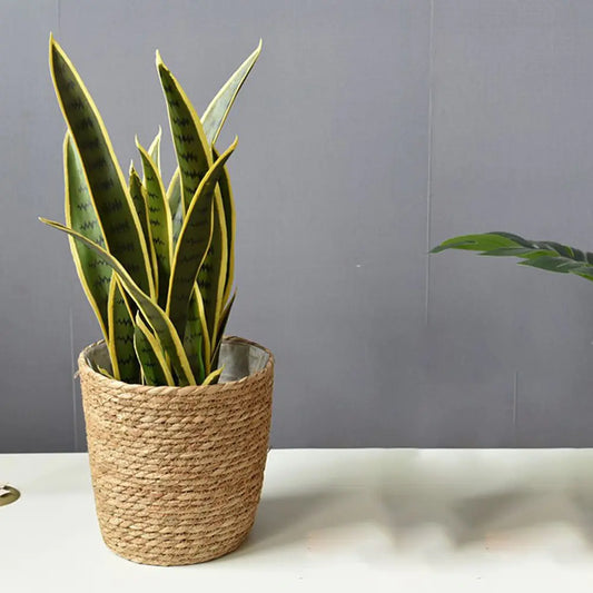 Handmade Straw Woven Flower Pot and Plant Basket