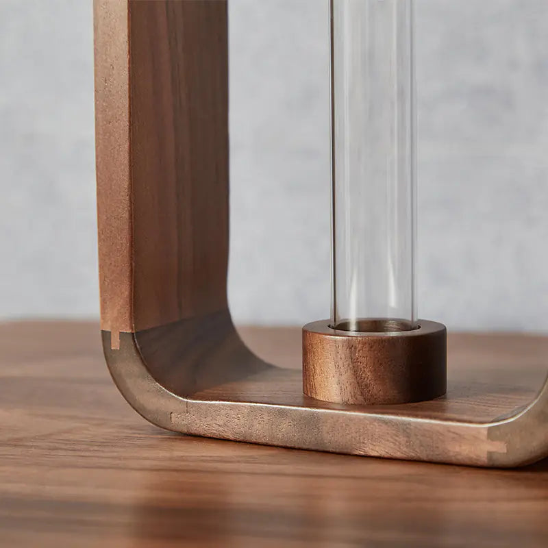 Transparent Glass Vase for Water Plants - Zen Style